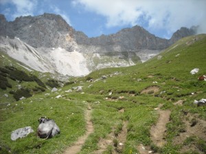 Zugspitz Ultratrail 2014 019