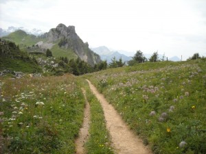 Eiger Ultra Trail 2014 029